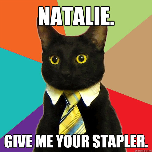 Natalie. Give me your stapler.  Business Cat