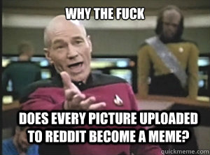 why the fuck does every picture uploaded to Reddit become a meme?  Annoyed Picard