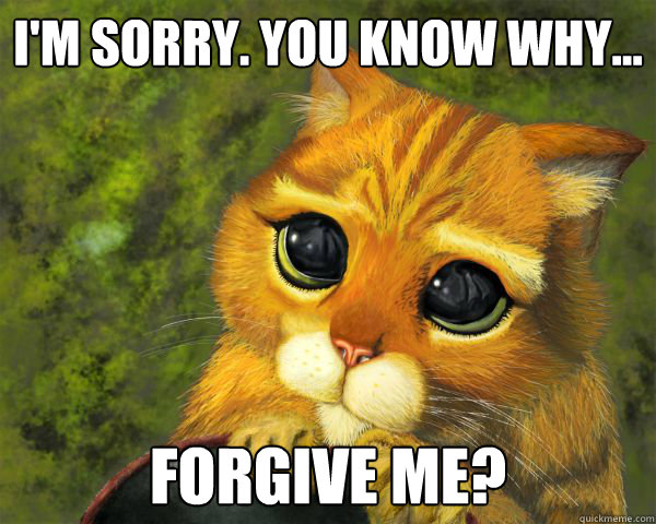 I'm sorry. you know why... Forgive me?  