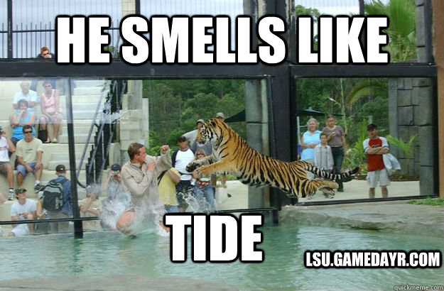 he smells like tide lsu.gamedayr.com  lsu tiger attack