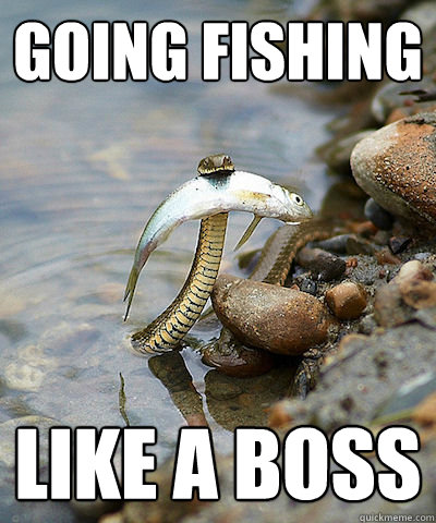 going fishing like a boss  Fishing Snake