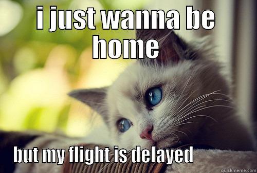 flight delayed - I JUST WANNA BE HOME BUT MY FLIGHT IS DELAYED               First World Problems Cat