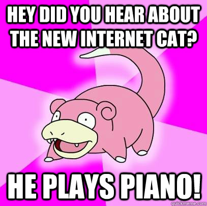 Hey did you hear about the new internet cat? He plays piano!  Slowpoke