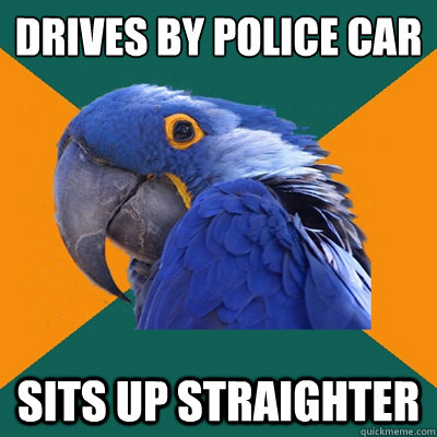 Drives by police car Sits up straighter  Paranoid Parrot