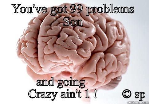 99 Problems - YOU'VE GOT 99 PROBLEMS SON AND GOING                  CRAZY AIN'T 1 !        © SP Scumbag Brain