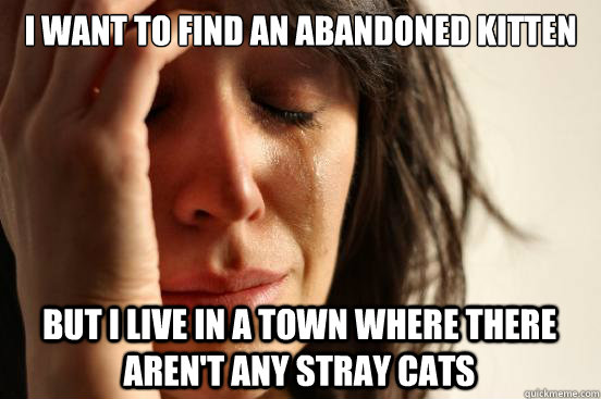 I want to find an abandoned kitten  But I live in a town where there aren't any stray cats  First World Problems