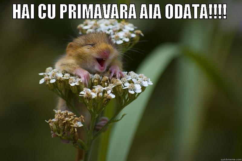 HAI CU PRIMAVARA AIA ODATA!!!!  Misc