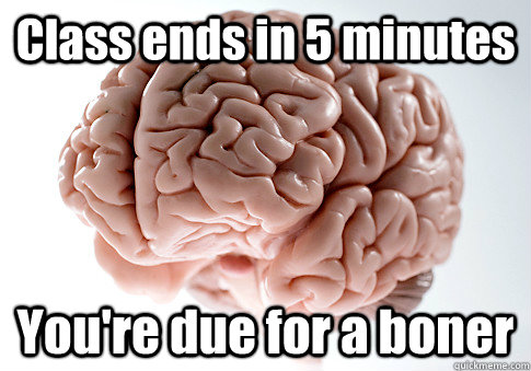 Class ends in 5 minutes You're due for a boner - Class ends in 5 minutes You're due for a boner  Scumbag Brain