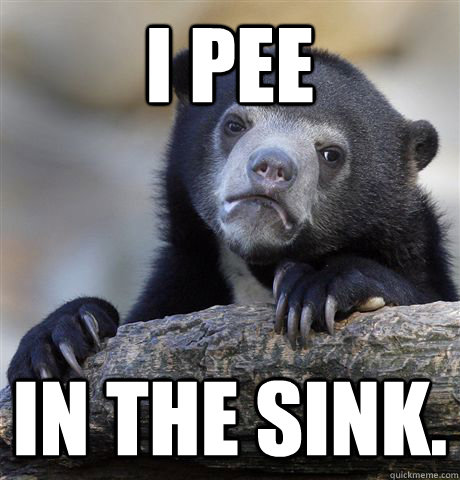 I Pee in the sink.  Confession Bear