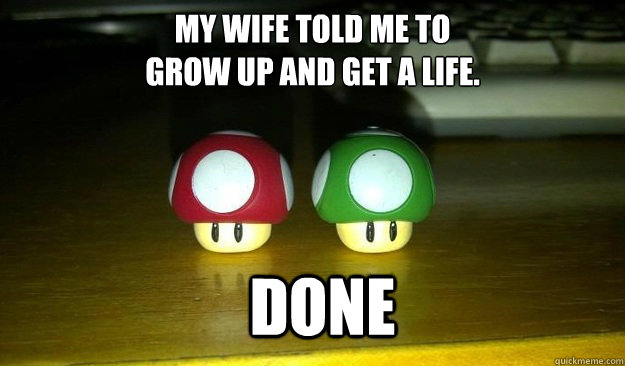 My wife told me to 
grow up and get a life. done  