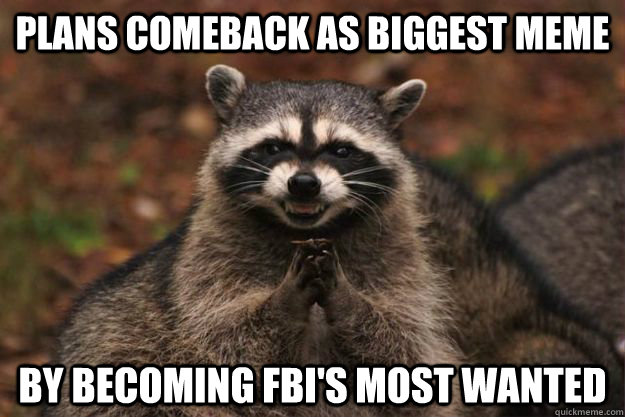 plans Comeback as biggest meme by becoming FBI's most wanted - plans Comeback as biggest meme by becoming FBI's most wanted  Evil Plotting Raccoon