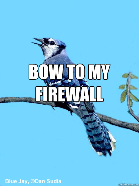 bow to my firewall   Blue Team Bird