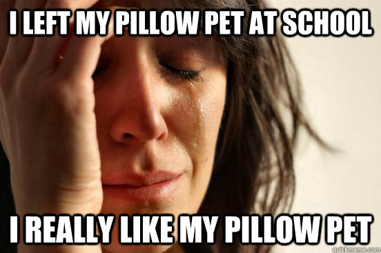 I left my Pillow Pet at School I really like my pillow pet  First World Problems
