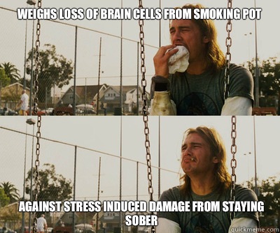 Weighs loss of brain cells from smoking pot Against stress induced damage from staying sober  First World Stoner Problems