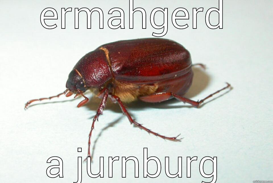 ERMAHGERD A JURNBURG Misc