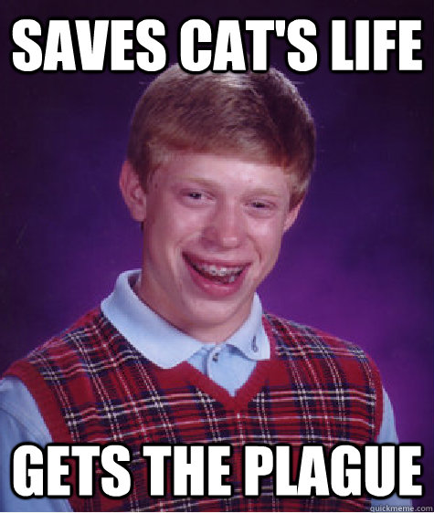 Saves cat's life gets the plague  Bad Luck Brian