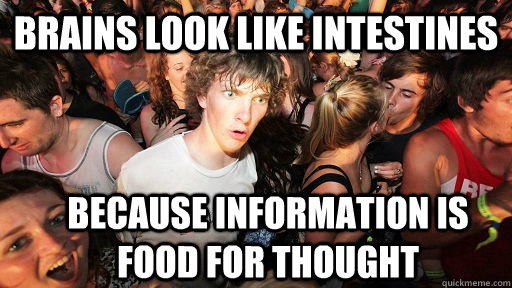brains look like intestines because information is food for thought  Sudden Clarity Clarence