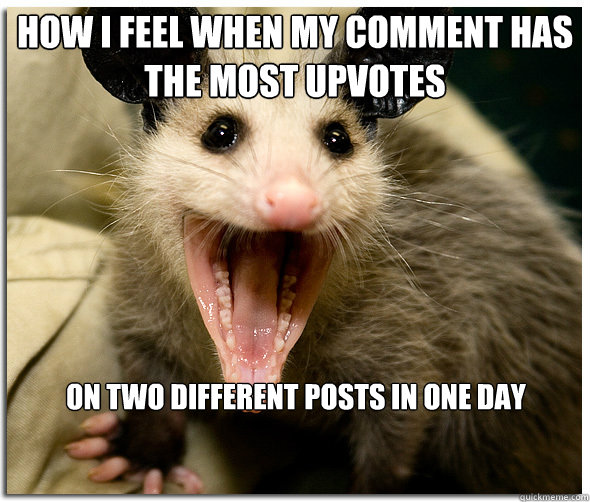 How I feel when my comment has the most upvotes on TWO different posts in one day - How I feel when my comment has the most upvotes on TWO different posts in one day  Over-Excited Possum