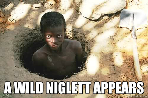  a wild Niglett appears    