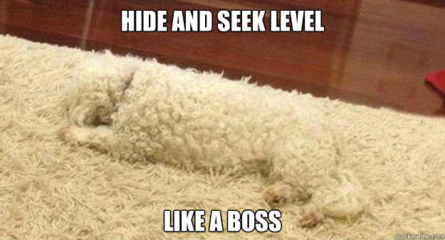 Hide and seek level like a boss - Hide and seek level like a boss  hidenseek