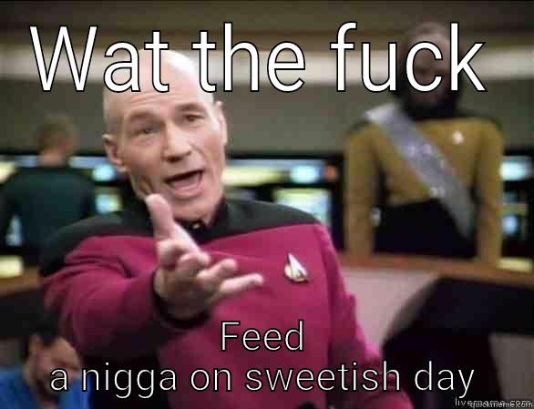 WAT THE FUCK FEED A NIGGA ON SWEETISH DAY Annoyed Picard HD