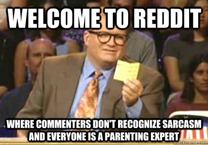 Welcome to Reddit Where commenters don't recognize sarcasm and everyone is a parenting expert - Welcome to Reddit Where commenters don't recognize sarcasm and everyone is a parenting expert  Misc