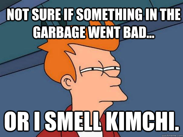 Not sure if something in the garbage went bad... Or I smell Kimchi.  Futurama Fry