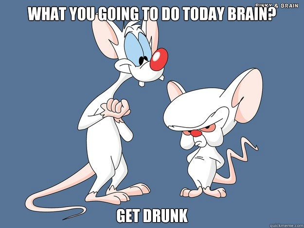 What you going to do today Brain? Get Drunk - What you going to do today Brain? Get Drunk  Misc