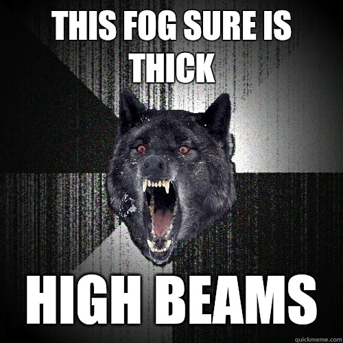This fog sure is thick High beams  Insanity Wolf