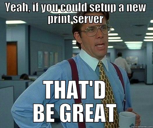 YEAH, IF YOU COULD SETUP A NEW PRINT SERVER THAT'D BE GREAT Office Space Lumbergh