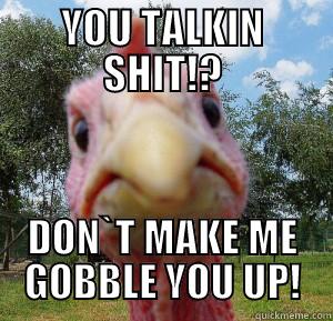 YOU TALKIN SHIT!? DON`T MAKE ME GOBBLE YOU UP! Misc