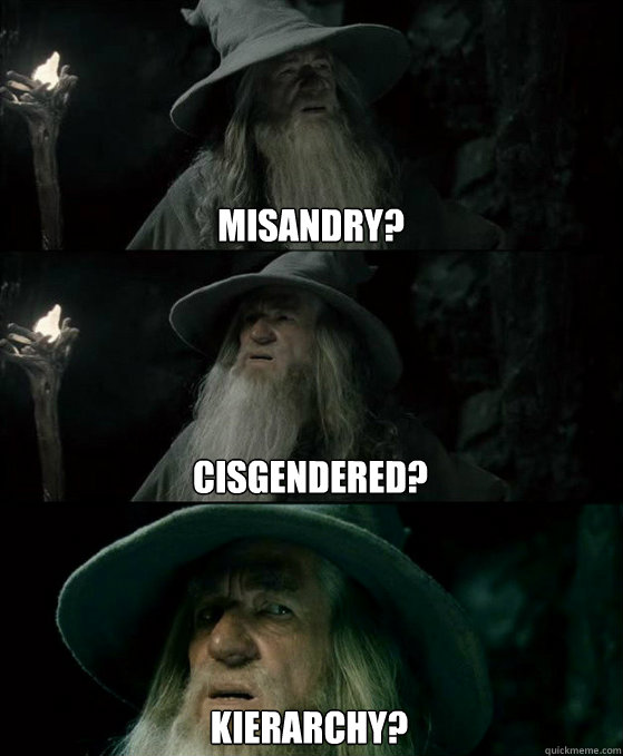 Cisgendered? Kierarchy? Misandry?  Confused Gandalf