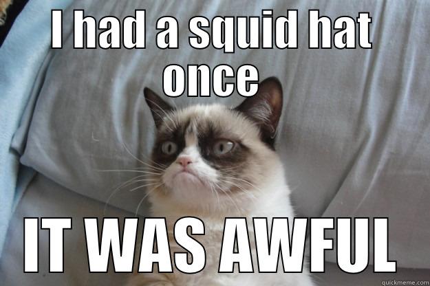 I HAD A SQUID HAT ONCE IT WAS AWFUL Grumpy Cat