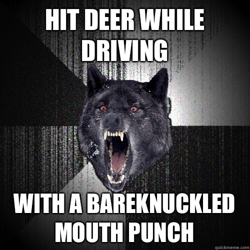 Hit deer while driving with a bareknuckled mouth punch  Insanity Wolf