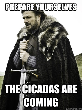 Prepare yourselves The Cicadas Are coming  Prepare Yourself