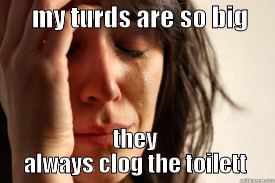       MY TURDS ARE SO BIG      THEY ALWAYS CLOG THE TOILETT First World Problems