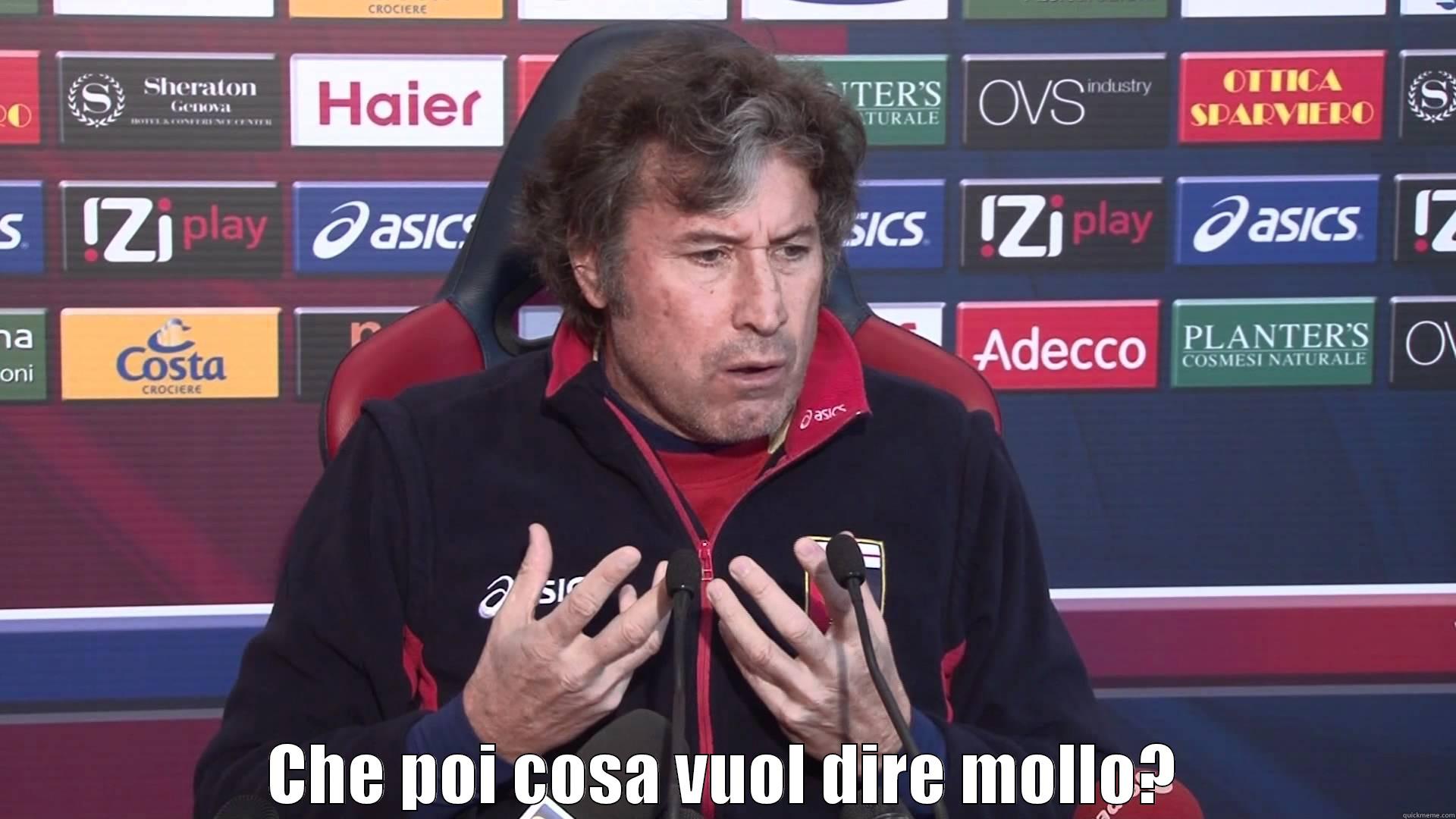 Malesani mollo -  CHE POI COSA VUOL DIRE MOLLO? Misc