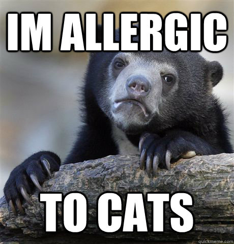 im allergic  to cats  Confession Bear
