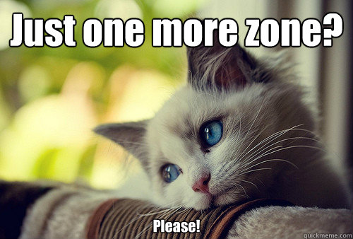 Just one more zone? Please!  First World Problems Cat