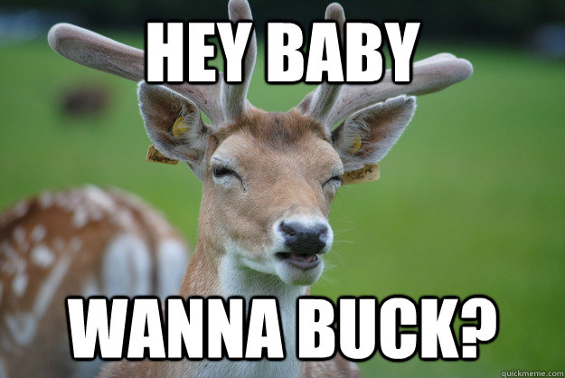 Hey baby wanna buck?  
