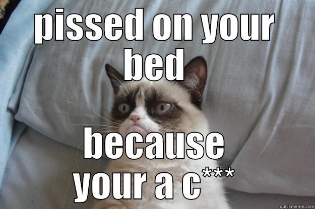 why i piss on the beds - PISSED ON YOUR BED BECAUSE YOUR A C*** Grumpy Cat