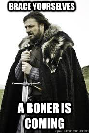 Brace Yourselves a boner is coming  Brace Yourselves