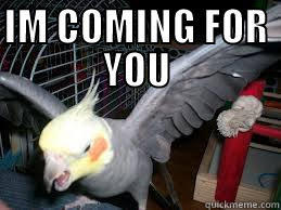 IM COMING FOR YOU  Misc