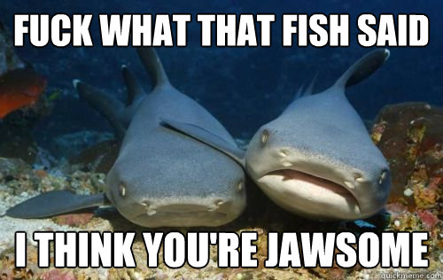 Fuck what that fish said I think you're jawsome  Compassionate Shark Friend
