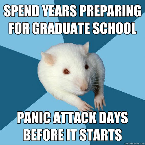 Spend years preparing for graduate school Panic attack days before it starts  Psychology Major Rat