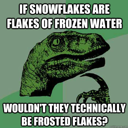 If snowflakes are flakes of frozen water Wouldn't they technically be frosted flakes?  Philosoraptor