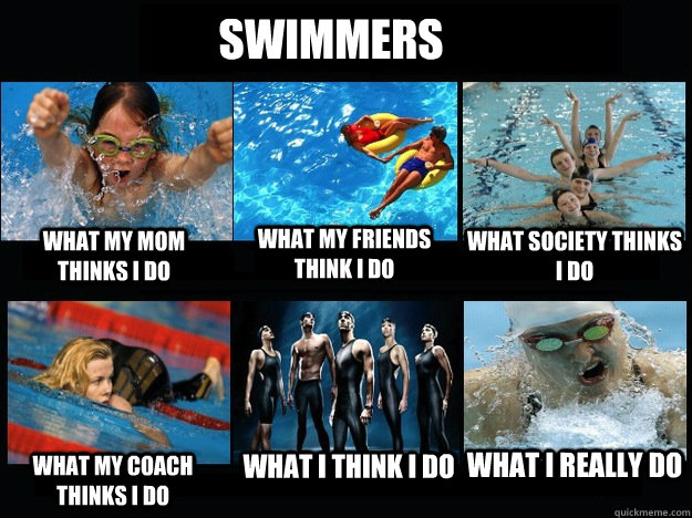 Swimmers What my mom thinks I do What my friends think I do What society thinks I do  What my coach thinks i do What I think I do What I really do  