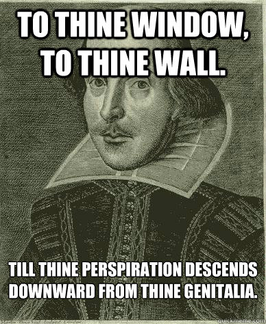 To thine window, to thine wall. till thine perspiration descends downward from thine genitalia. - To thine window, to thine wall. till thine perspiration descends downward from thine genitalia.  Theatre major shakespeare