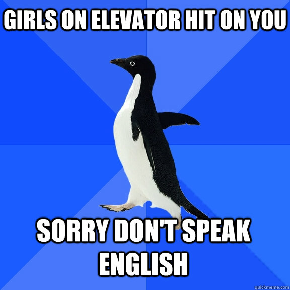 GIRLS ON ELEVATOR HIT ON YOU SORRY DON'T SPEAK ENGLISH    Socially Awkward Penguin