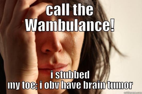 CALL THE WAMBULANCE! I STUBBED MY TOE; I OBV HAVE BRAIN TUMOR First World Problems